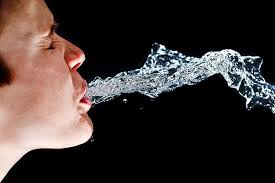 What Rhymes with Spit?